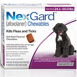 nexgard chewables for dogs nexgard for dogs buy nexgard chewables flea tick for dogs in us nexgard chewables for dogs nexgard for dogs buy nexgard chewables flea tick for dogs in us