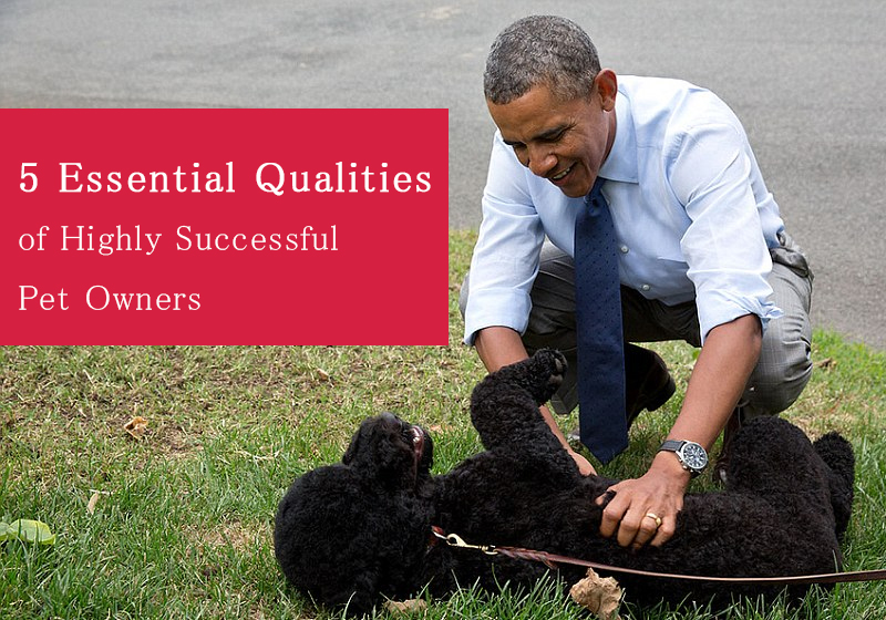 BVC_pet-owners
