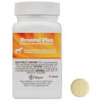 Drontal for Dogs