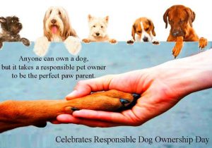 celebrates responsible dog ownership day