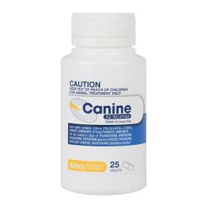 Value Plus Canine Allwormer 40kg 25 Tablet
