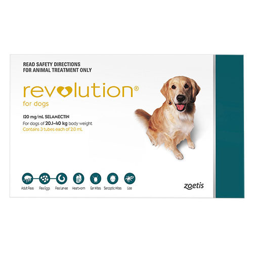 Revolution for Large Dogs 40.1-85lbs  6 Doses
