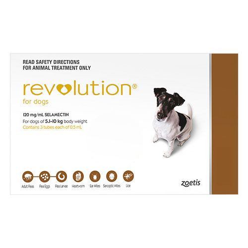 Revolution for Small Dogs 10.1 - 20lbs  12 Doses