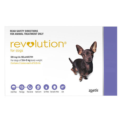Revolution for Very Small Dogs 5.1-10 lbs  6 Doses