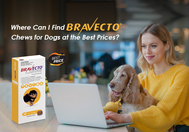 Where Can I Find Bravecto Chews For Dogs At The Best Prices?