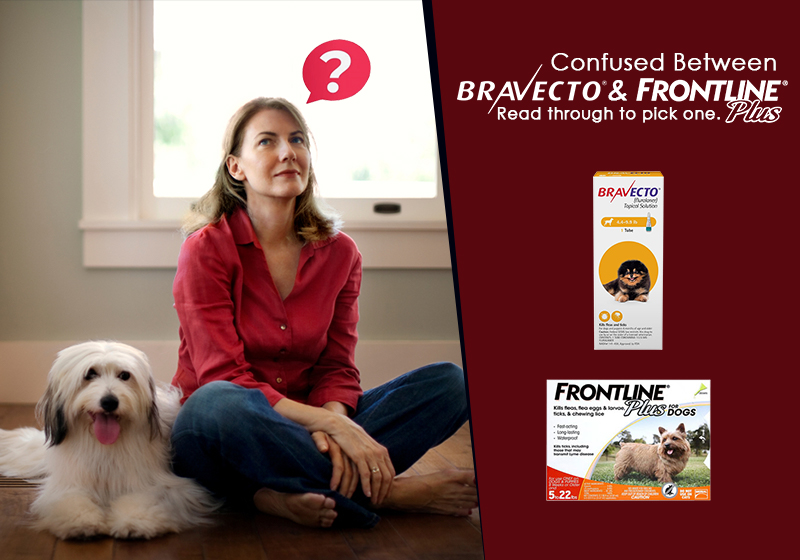 Confused Between Bravecto and Frontline Plus? Read Through To Pick One