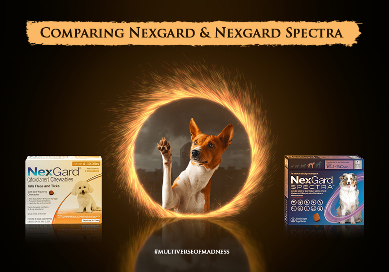 Comparing Nexgard and Nexgard Spectra