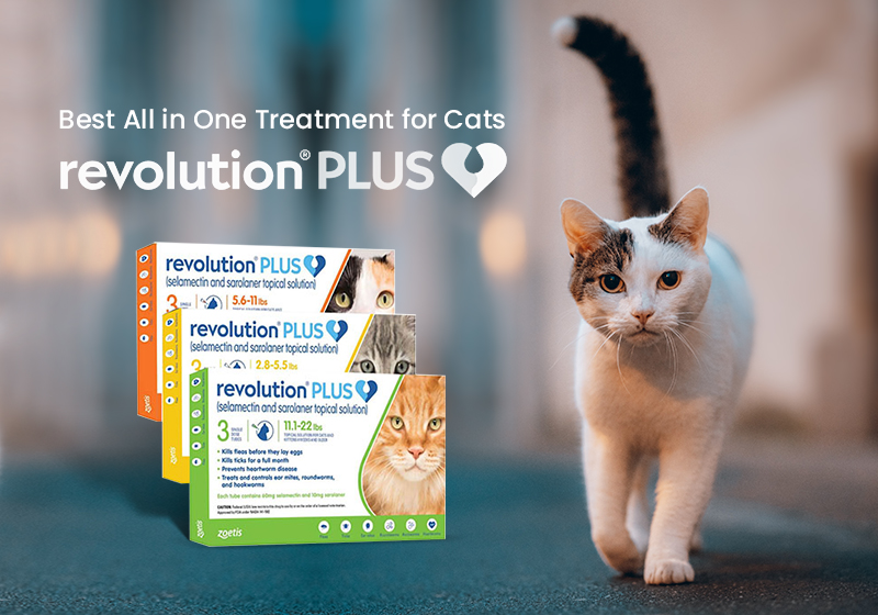 Revolution Plus - Best Broad Spectrum Treatment for Cats