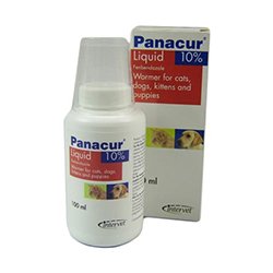 panacur for puppies liquid