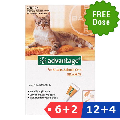buy advantage for cats