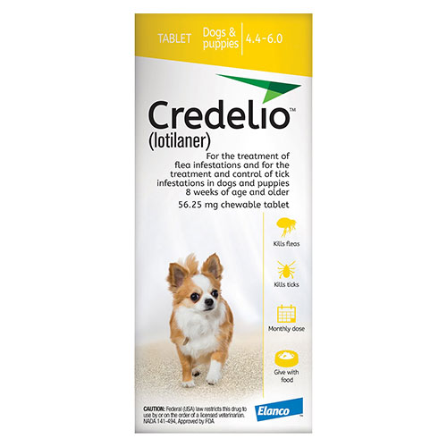 Credelio For Dogs Buy Credelio For Dogs At Nominal Rates Bestvetcare Com