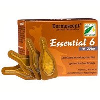 Essential 6 22-45 Lbs (Medium) 4 Pipette