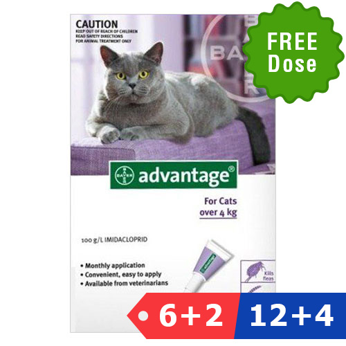 Advantage Cats Over 10lbs (Purple) 4 Doses