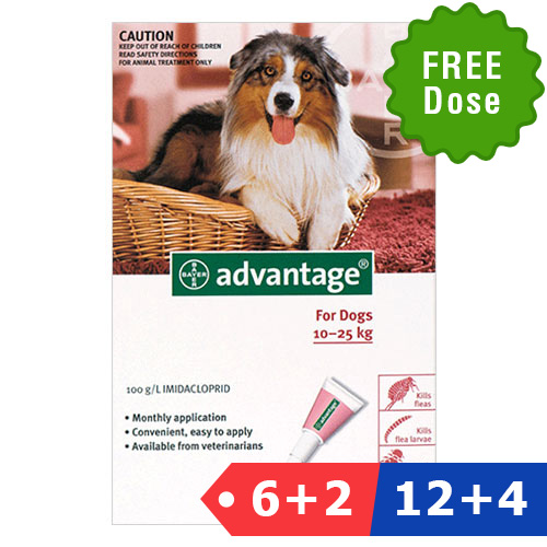 Advantage Large Dogs 21-55lbs (Red) 12 + 4 Doses Free