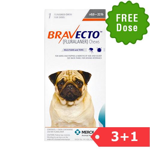 bravecto small bravecto for dogs buy bravecto chewable flea tick treatment bestvetcare bravecto small bravecto for dogs buy bravecto chewable flea tick treatment bestvetcare