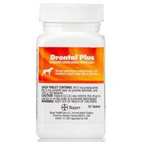 drontal plus for dogs flavor drontal for dogs buy drontal for dogs bestvetcare drontal plus for dogs flavor drontal for dogs buy drontal for dogs bestvetcare