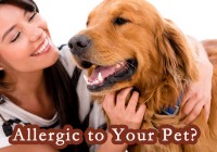 Allergic to Your Pet