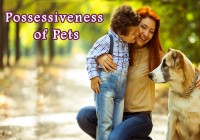 possessiveness-of-pets