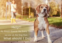 Help!! My Pooch Guards Me Every Time