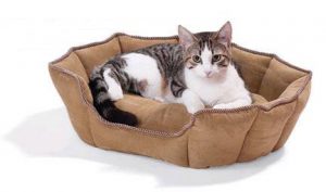 Cat Beds and Pads