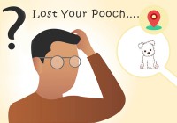 Help…I cannot find my Pooch……What Should I Do?