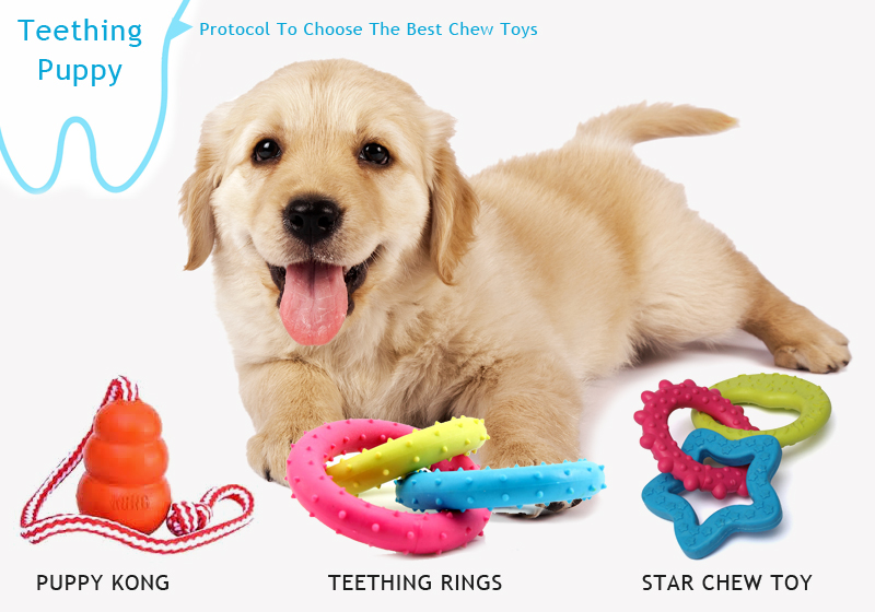 What Type of Chew Toys For Teething Puppies