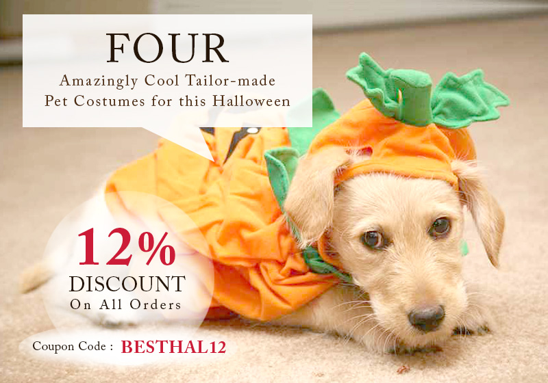 Tailor-made Pet Costumes For Halloween And Pet Supplies Deals On Discount