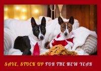 Celebrate New Year's Eve With Pets