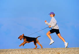 Jogging with Dog