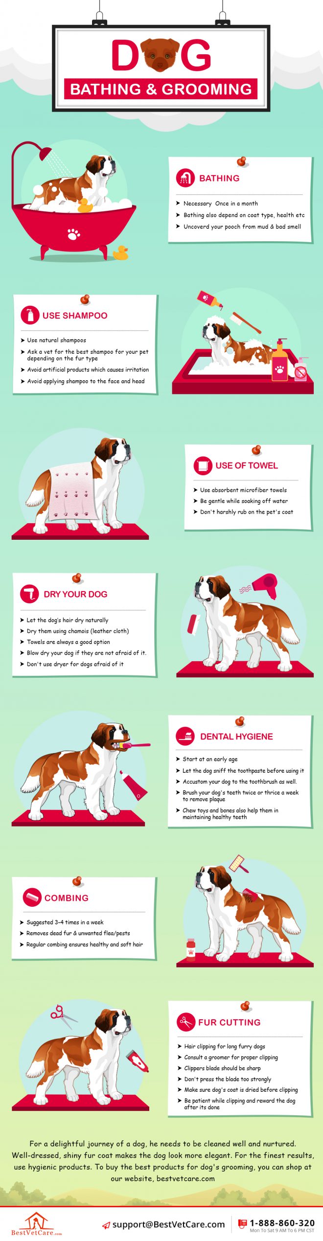 infographicsdogbathinggromming