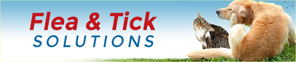 FAQs About Choosing Flea & Tick Preventative Treatment for Dogs and Cats
