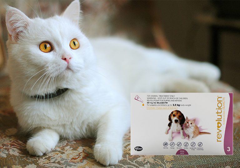 Is It Safe To Use Dog Revolution Dosage On Cat?
