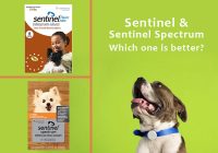 Sentinel-or-Sentinel-Spectrum-Which-one-to-choose