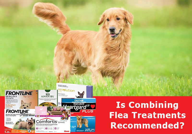 Combining Flea Treatments Recommended 