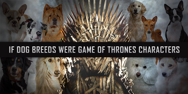 Dog-breeds-as-games-of-thrones-characters