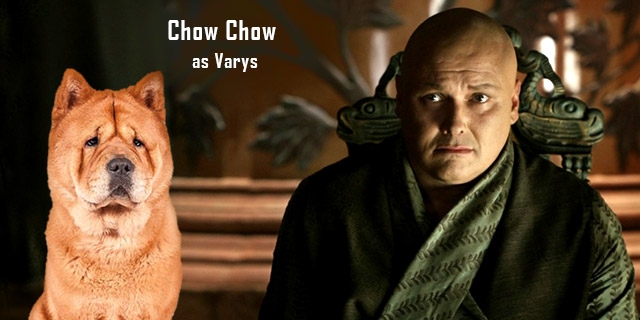 Chow-Chow-as-Varys
