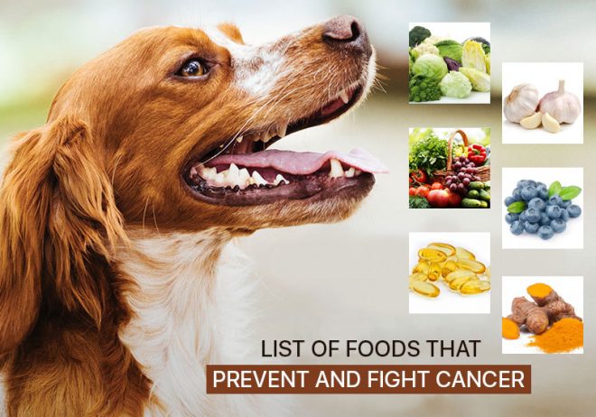 Natural Miracle cure for dog cancer? No. 6 will Shock