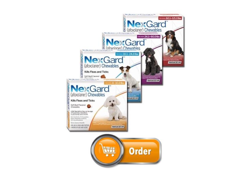 Nexgard for Dog
