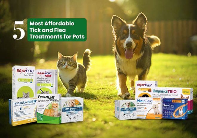 5 Most Affordable Tick and Flea Treatments for Pets