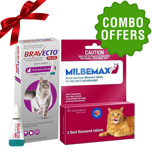 Bravecto Plus + Milbemax combo for cat