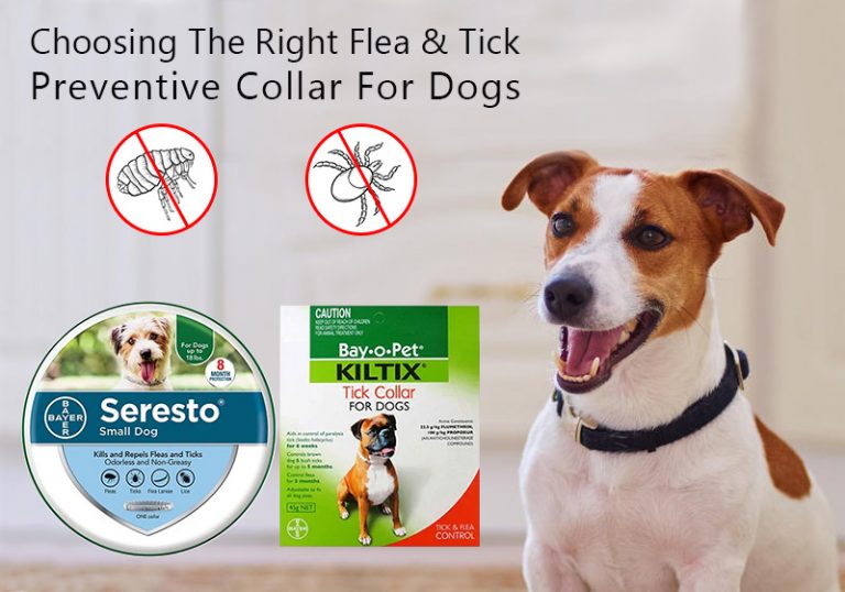 bay-o-pet-killtix-collar-for-dogs-benefits-archives