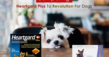 revolution and heartgard together
