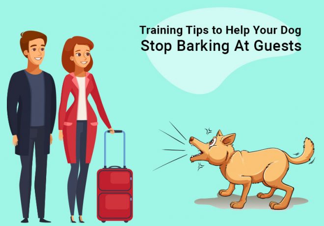 Image showcasing Training Tips to Help Your Dog Stop Barking At Guests