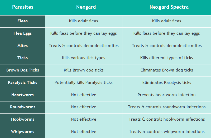 nexgard-vs-nexgard-spectra-for-dogs