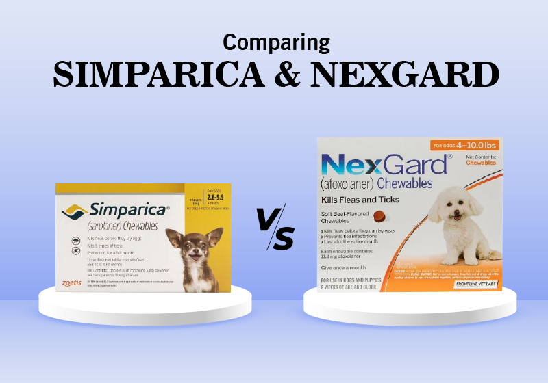 comparing simparica and nexgard
