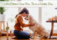 Home Care Tips for a Healthy Dog