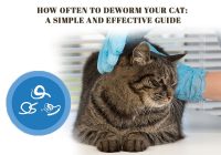 How Often to Deworm Your Cat