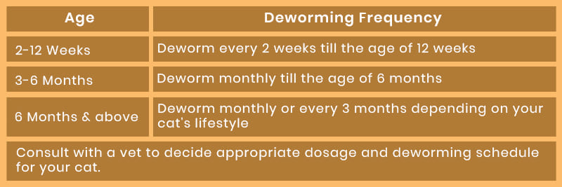 Deworming Schedule for Kittens and Cats
