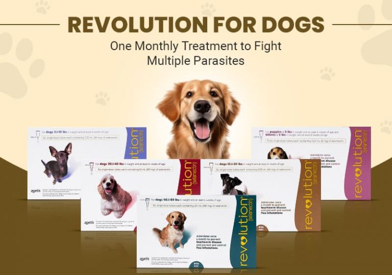 Picture of Revolution for Dogs: Monthly Treatment for Multiple Parasites | BestVetCare