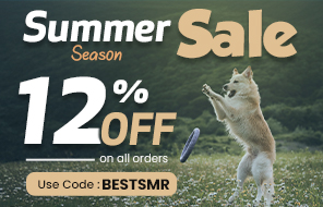 Summer Sale